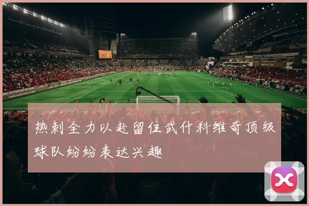 热刺全力以赴留住武什科维奇顶级球队纷纷表达兴趣