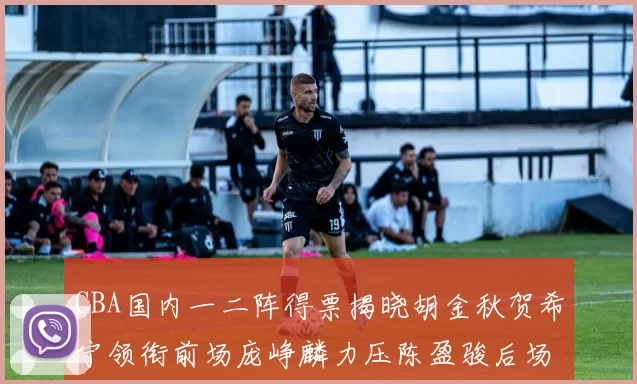 CBA国内一二阵得票揭晓胡金秋贺希宁领衔前场庞峥麟力压陈盈骏后场