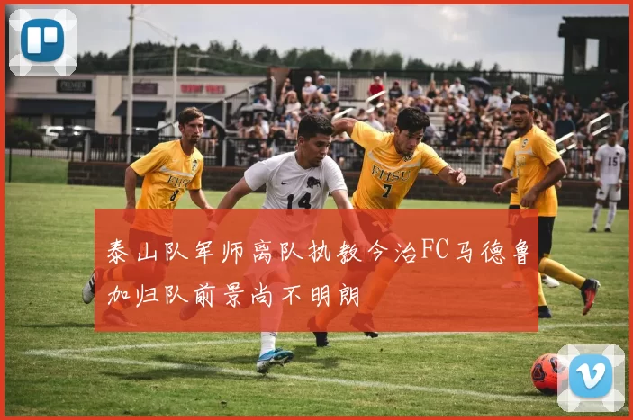 泰山队军师离队执教今治FC马德鲁加归队前景尚不明朗